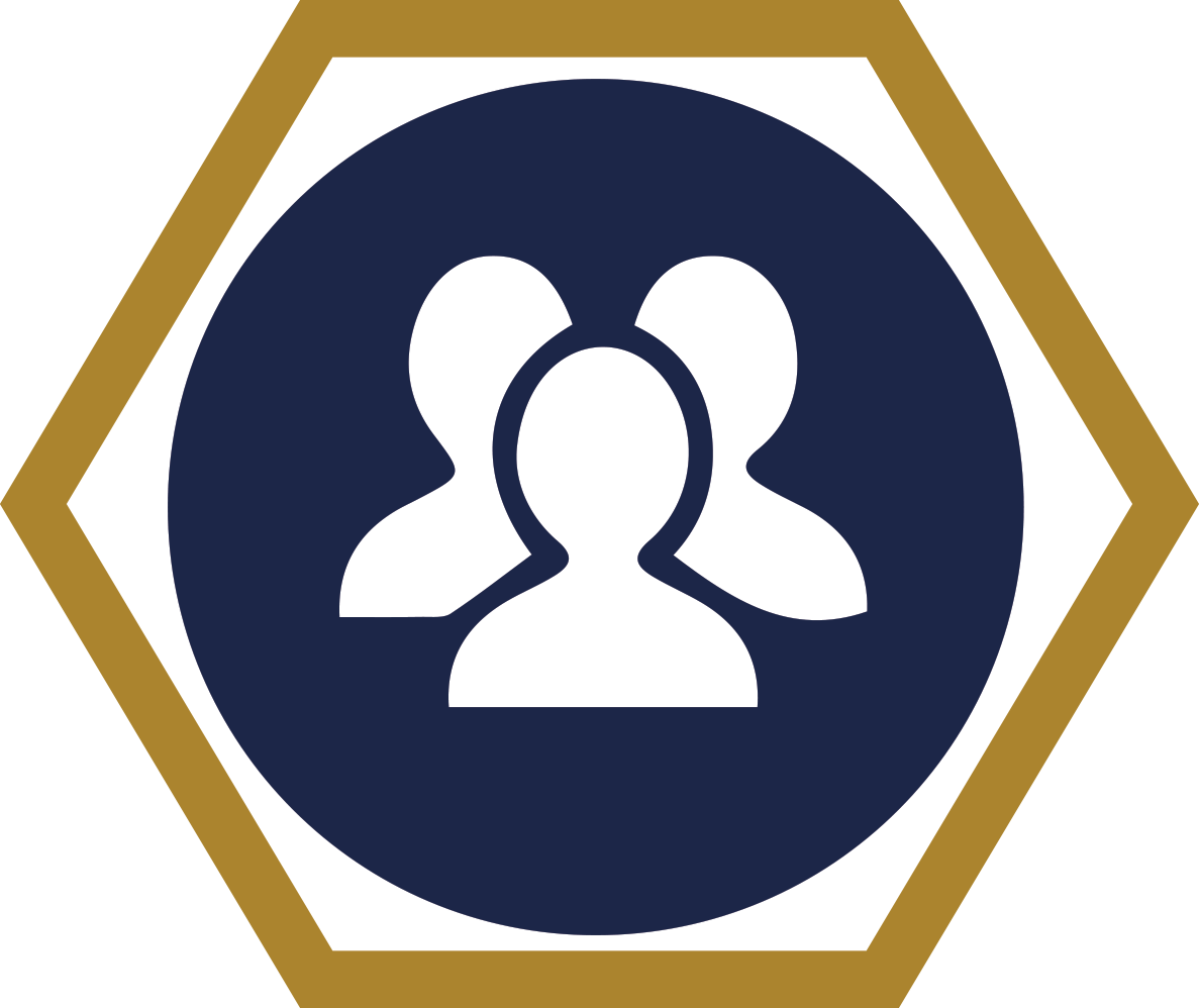 Modules guardian software systems